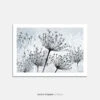 Seedheads Art Print – Winter Garden Series