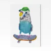 Skate Budgie A4 Art Print