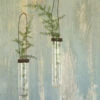 Test Tube Hanging Vase