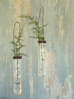 Test Tube Hanging Vase