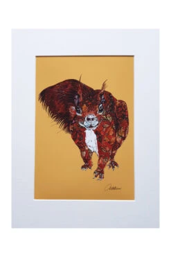 Red Squirrel Art Print