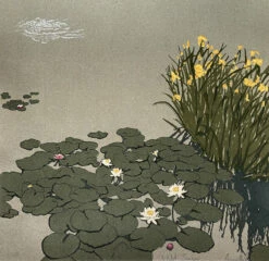 Wild Swim Screen Print