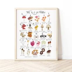 The A – Z Of Fungi Print – A4