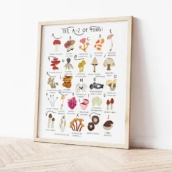 The A – Z Of Fungi Print – A4 -Household Decoration Shop a z of Fungi a4 print bea baranowska 3
