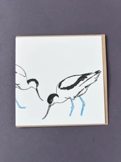 Avocets Card