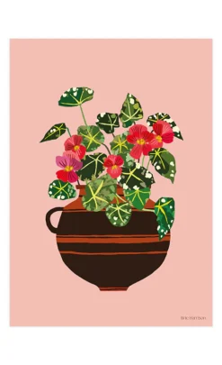 Begonia A4 Art Print