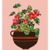 Begonia Art Print – A3