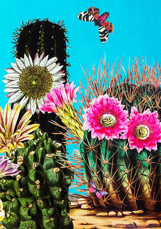 Big Cactus Greeting Card 1 Big Cactus Greeting Card