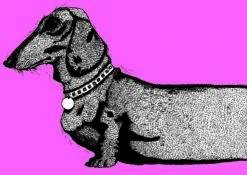 Set Of 2 Pink Sausage Dog/Dachshund Head & Tail Art Print A3 -Household Decoration Shop dauchshund print pink background head