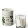 Fig Leaf Soy Wax Candle