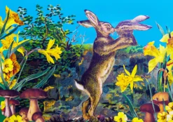 Hares Greeting Card