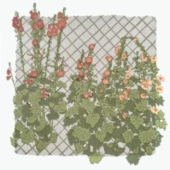 Hollyhocks Screenprint