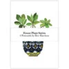 Pack Of 4 House Plant Series Postcards