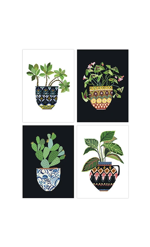 Pack Of 4 House Plant Series Postcards 2 Pack Of 4 House Plant Series Postcards - Image 2