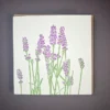Lavender Card