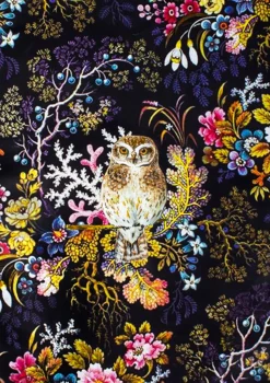 Little Owl Greeting Card