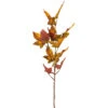 Autumn Maple Leaf Stem