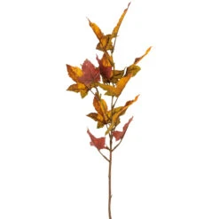 Autumn Maple Leaf Stem