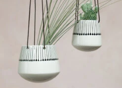 Matchstick Design Matamba Ceramic Hanging Planter