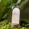 Mini Heart Sterling Silver Studs In Glass Terrarium Tube