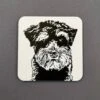 Miniature Schnauzer Coaster