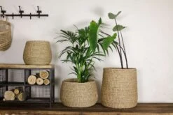 Noko Seagrass Basket – Small 5 Noko Seagrass Basket – Small -Household Decoration Shop noko basket small Lifestyle nkuku.png