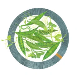 Peas Little Paper Plate Art Print