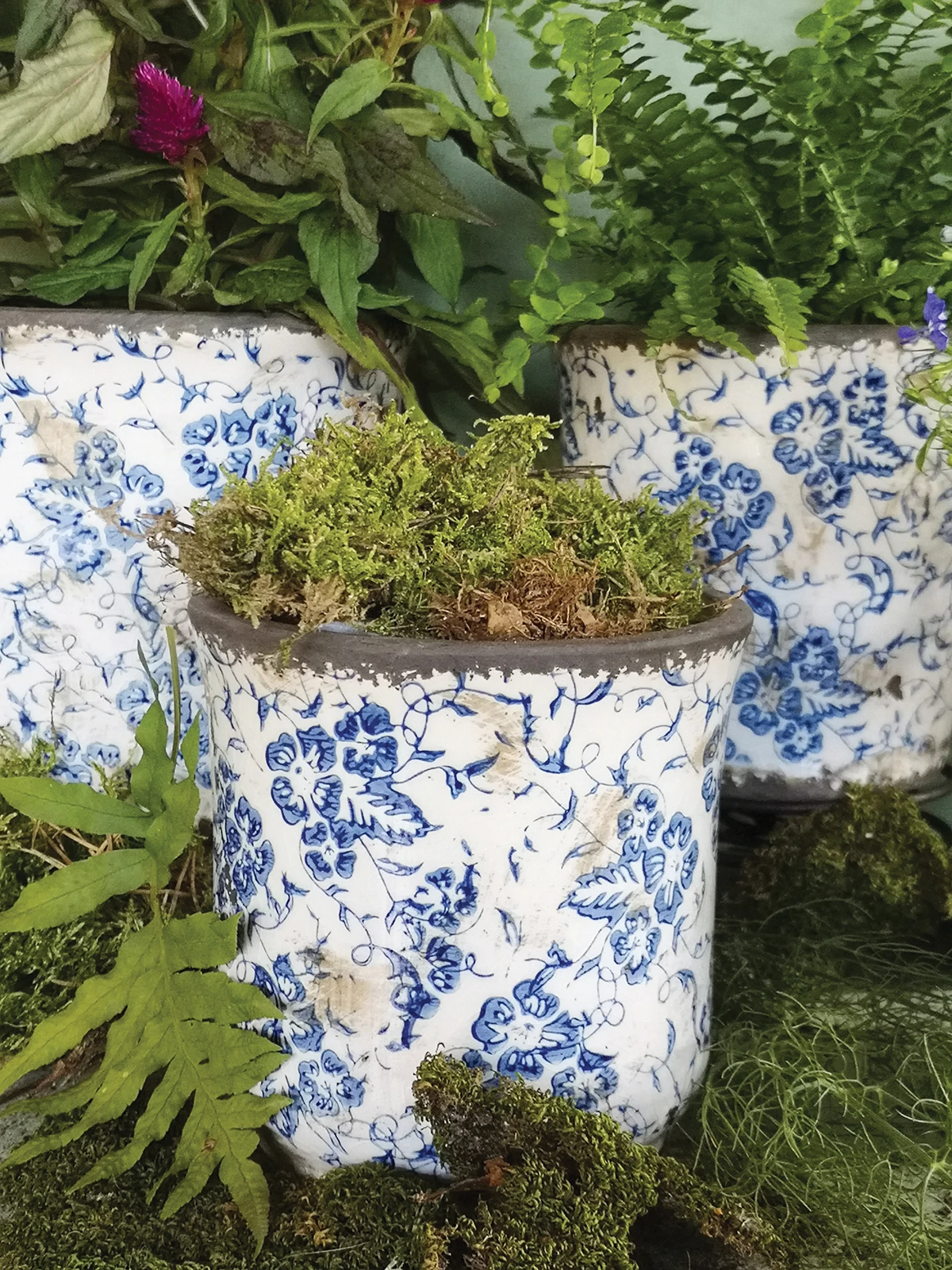 Petite Flower Pot – Mandarin 1 Petite Flower Pot – Mandarin