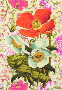 Poppies Greeting Card