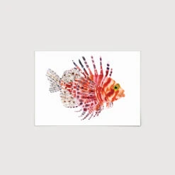Lion Fish Art Print