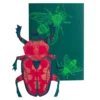 Scarab Beetle Greeting Card