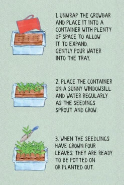 The Cat Bar – Growbar -Household Decoration Shop seedlings growing instructions image Growbar