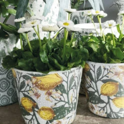 Spanish Lemons Glazed Plant Pot