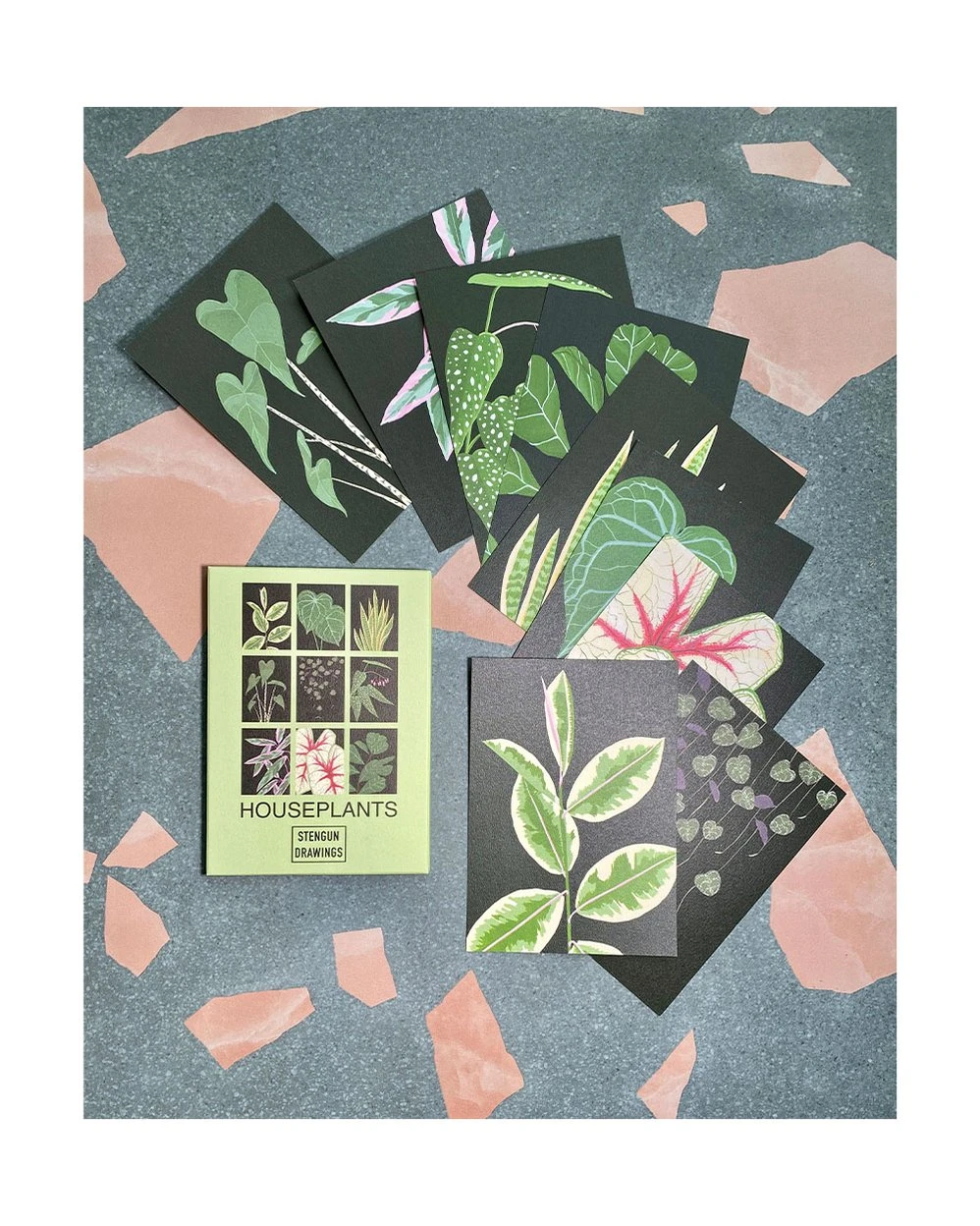Houseplant Postcard Pack – Set Of 9 Postcards 2 Houseplant Postcard Pack – Set Of 9 Postcards - Image 2