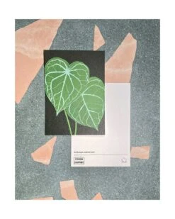 Houseplant Postcard Pack – Set Of 9 Postcards 8 Houseplant Postcard Pack – Set Of 9 Postcards -Household Decoration Shop stengun drawings houseplants 4 1000x1248 sample with rear